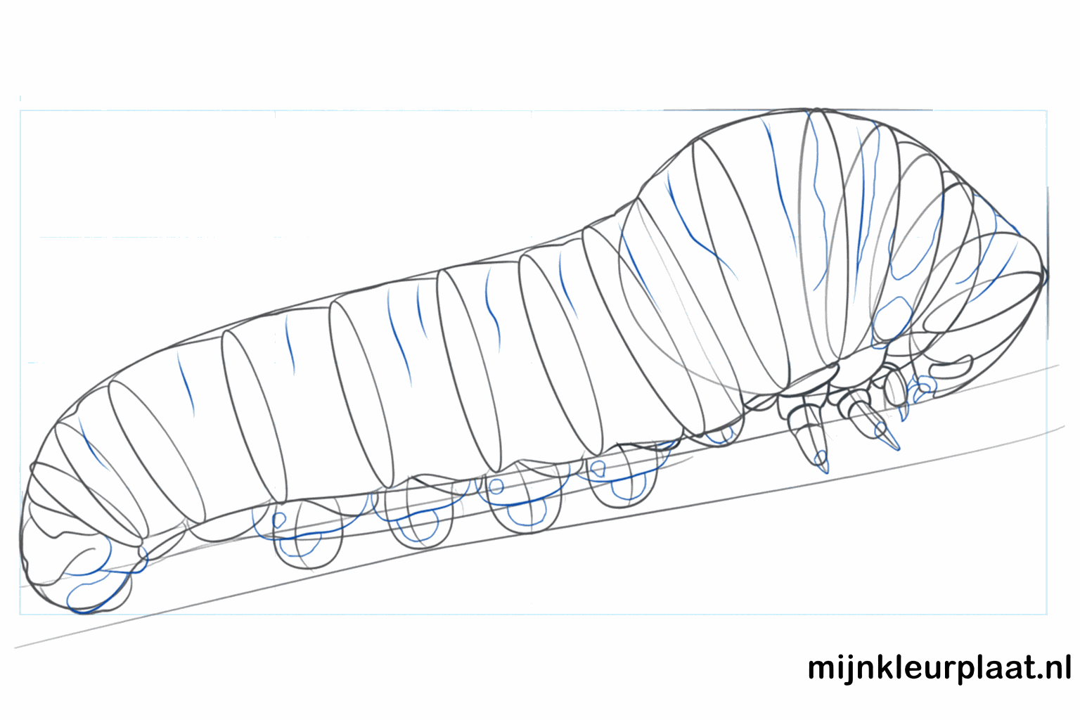 Lines between the segments of the caterpillar for extra detail.