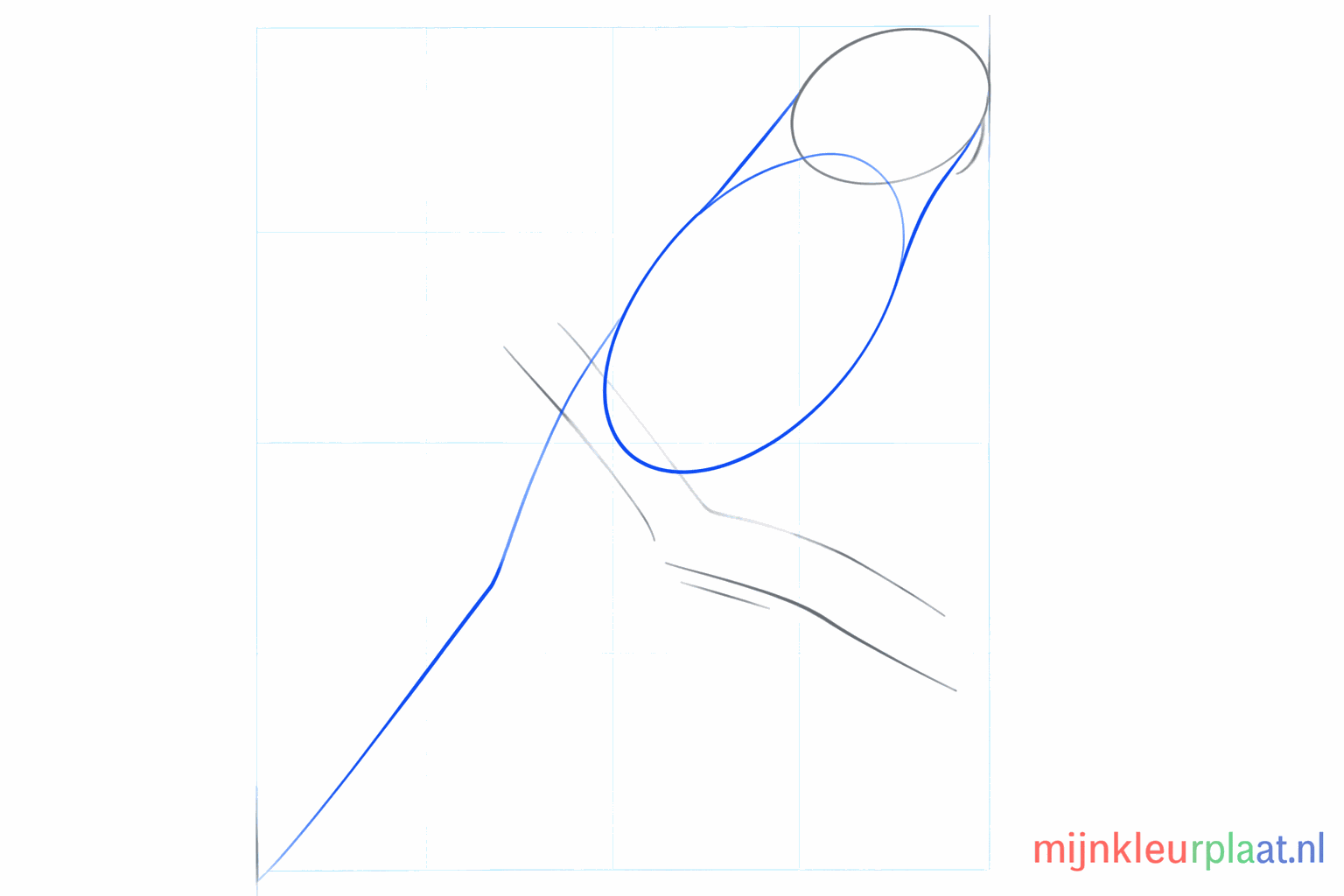 A large oval as the body and a long guide line for the bird's tail.