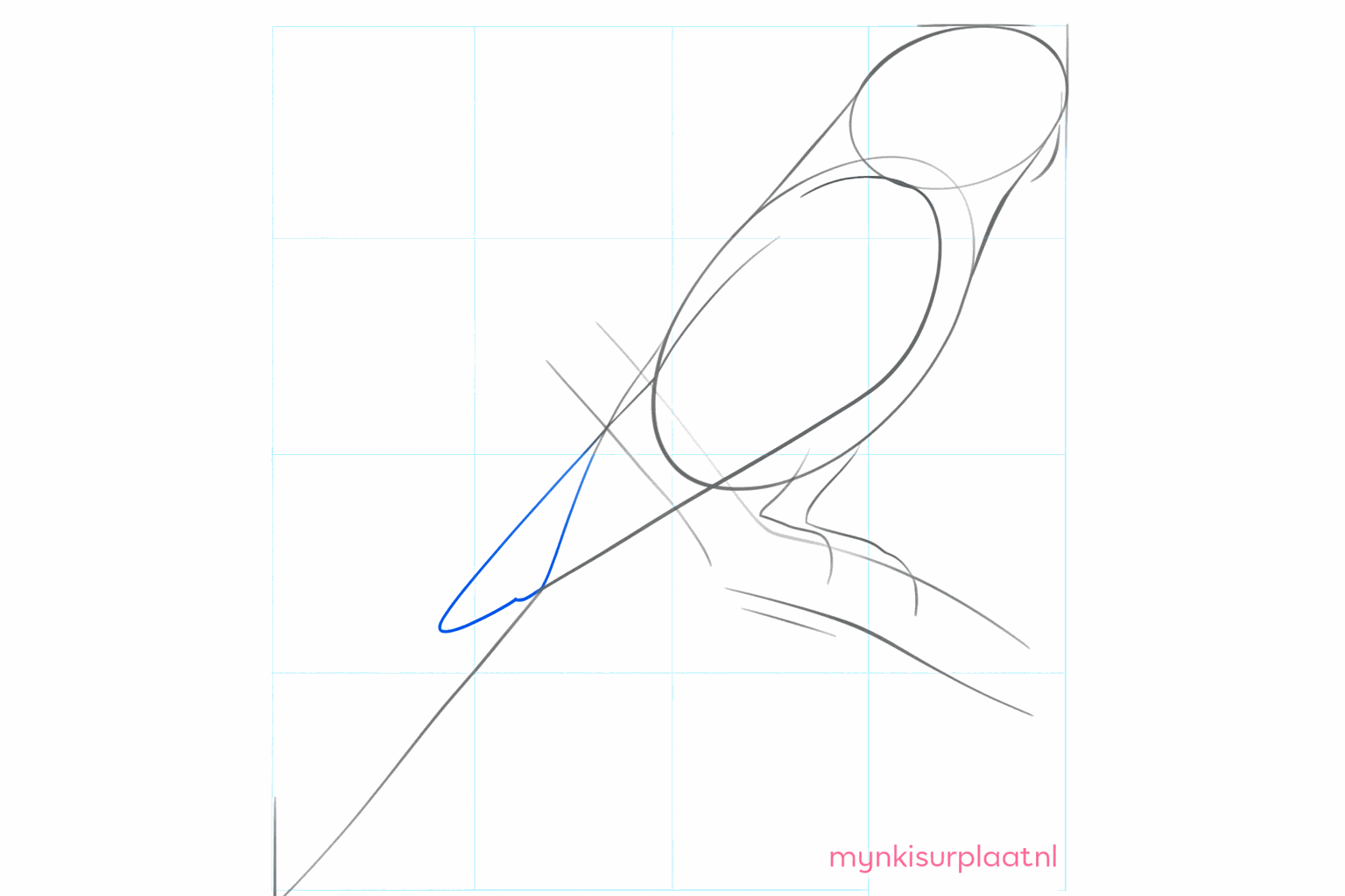 Guide lines for the wing and the position of the feet on the branch.