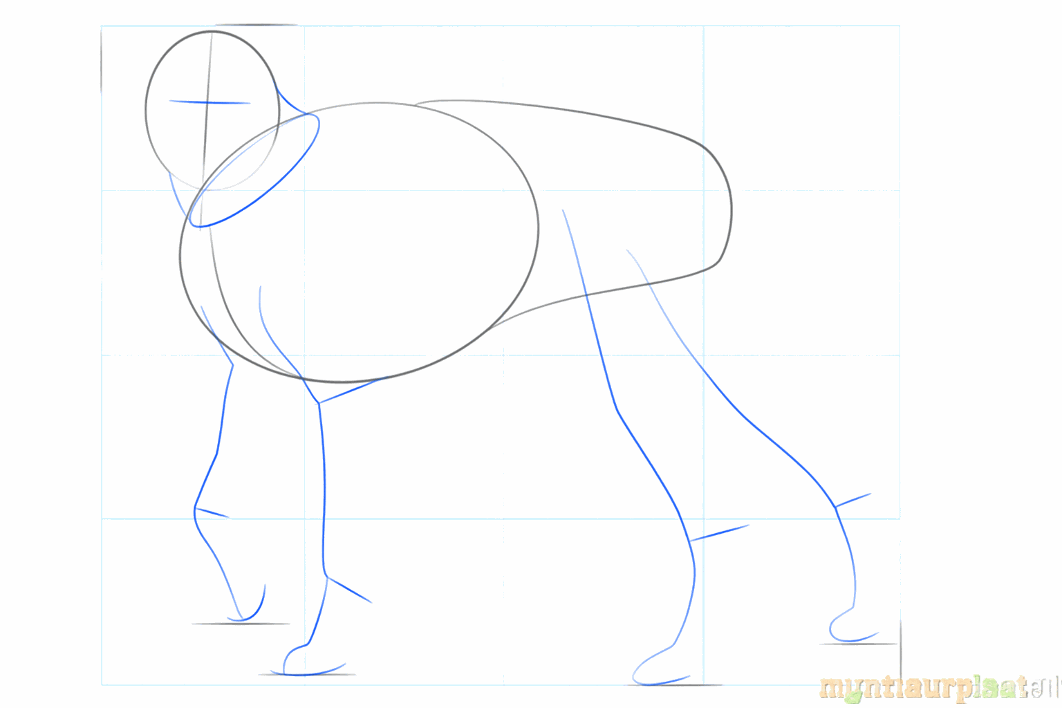 Lignes de construction pour les pattes et le cou du chien avec des petits ronds pour les yeux.