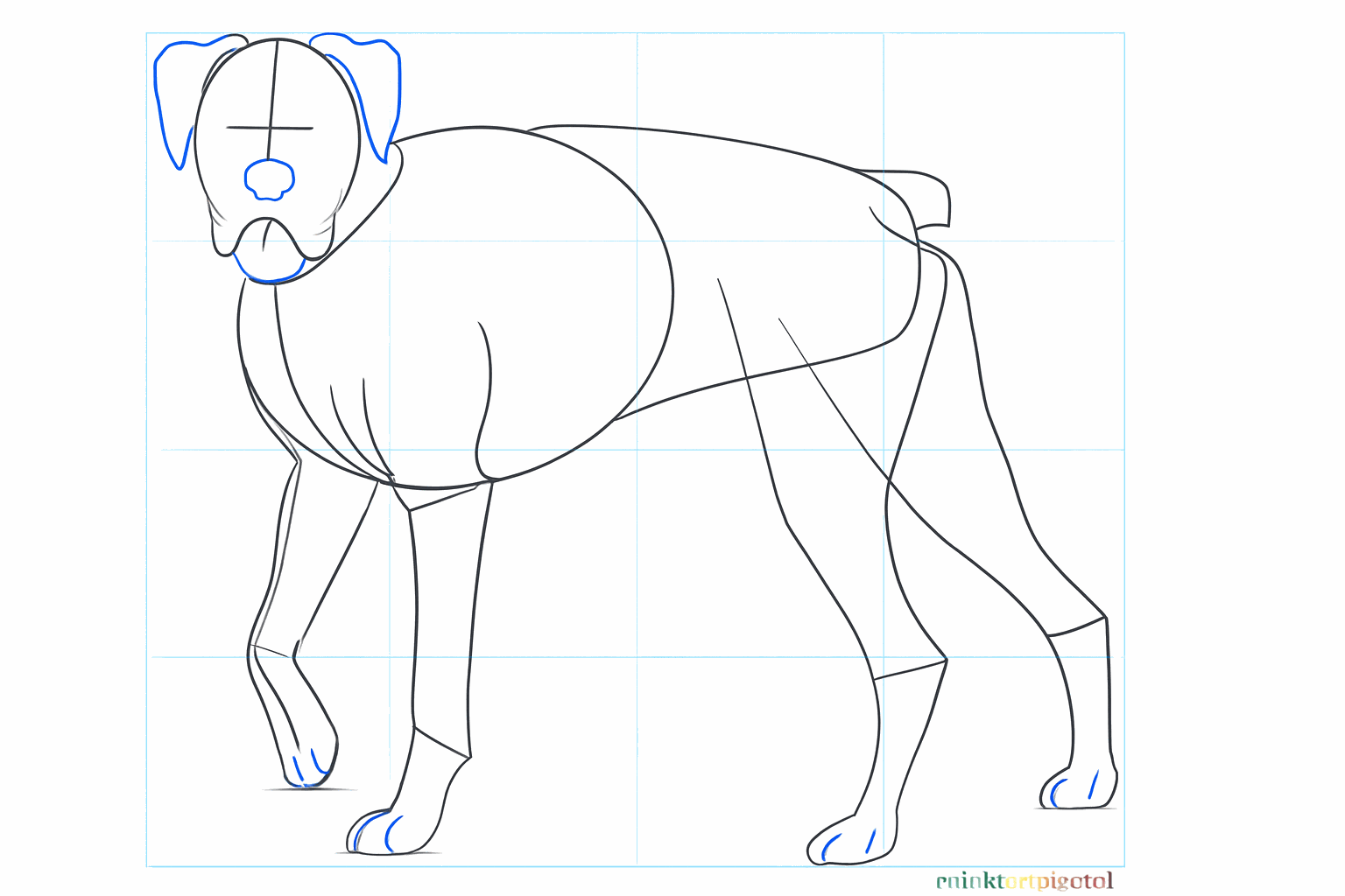 Le chien reçoit maintenant des oreilles, une truffe, une petite queue et des petites lignes pour les orteils.