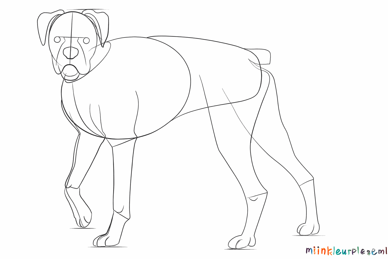 Le contour du chien est dessiné en reliant les formes séparées.