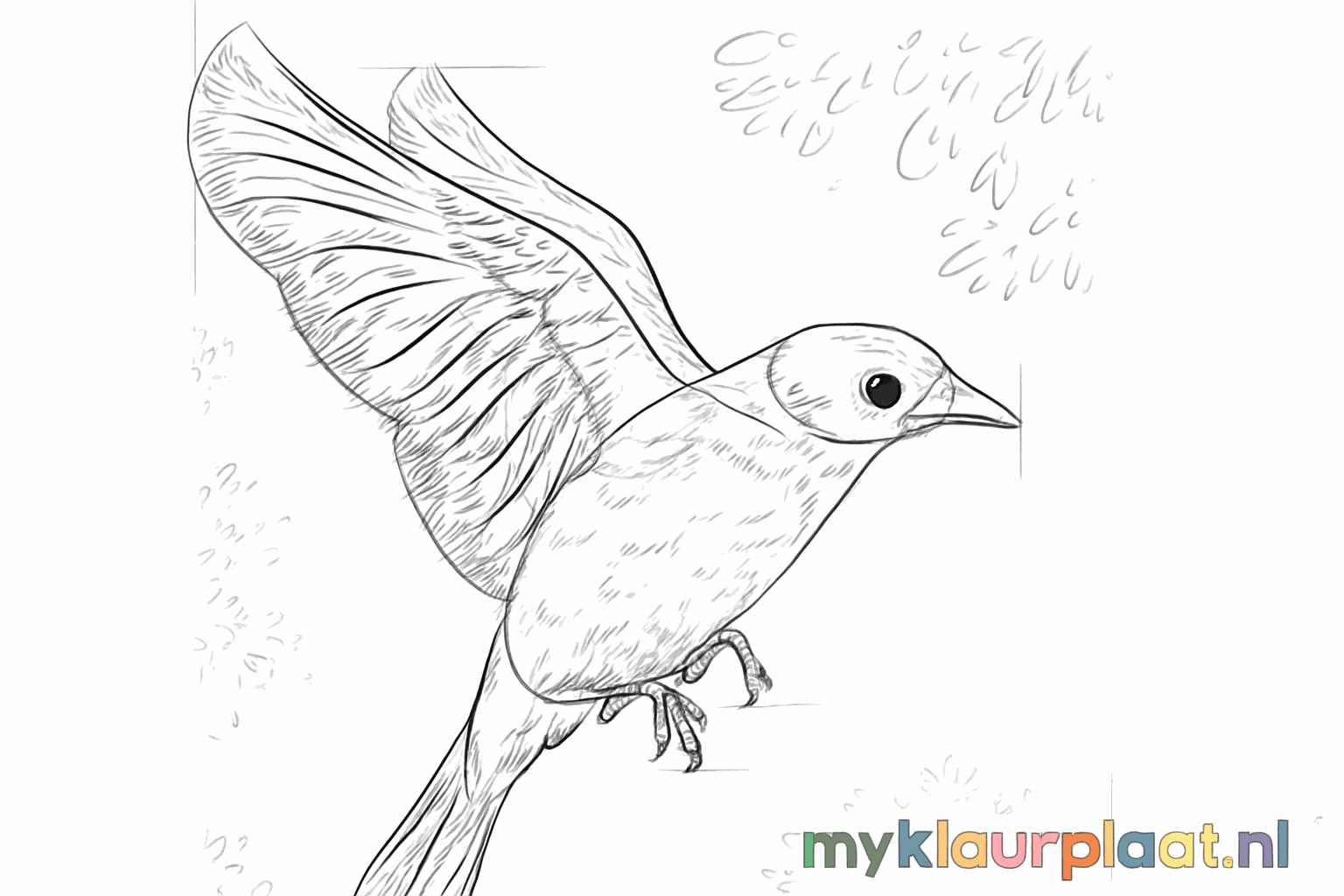 Add details to the entire bird such as feathers.