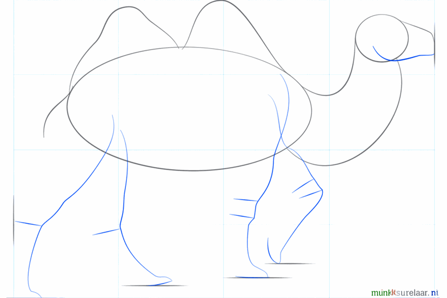 Guide lines for the four legs and a small tail.