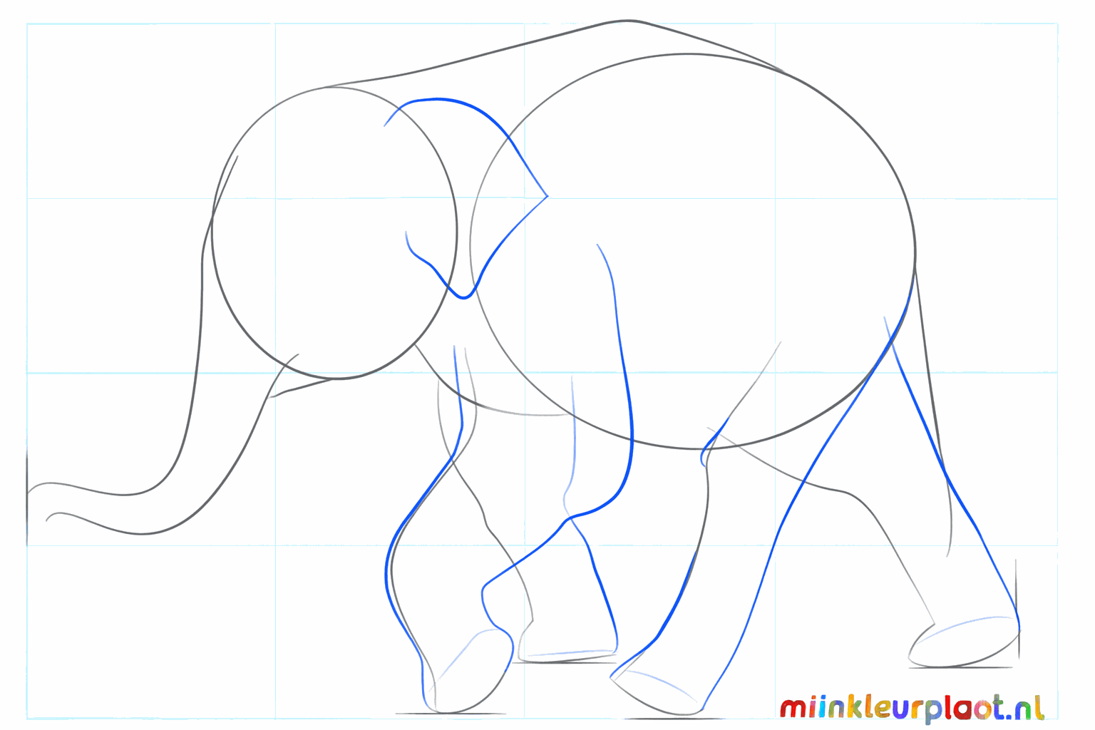 Adding a large ear and round feet to the drawing.