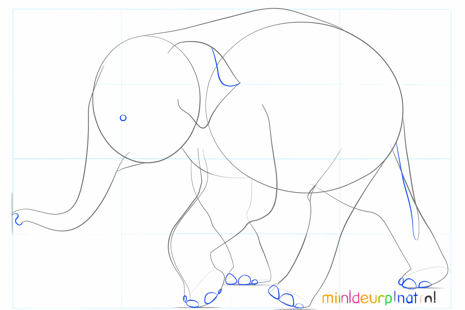 Drawing the eye and the tail of the baby elephant.