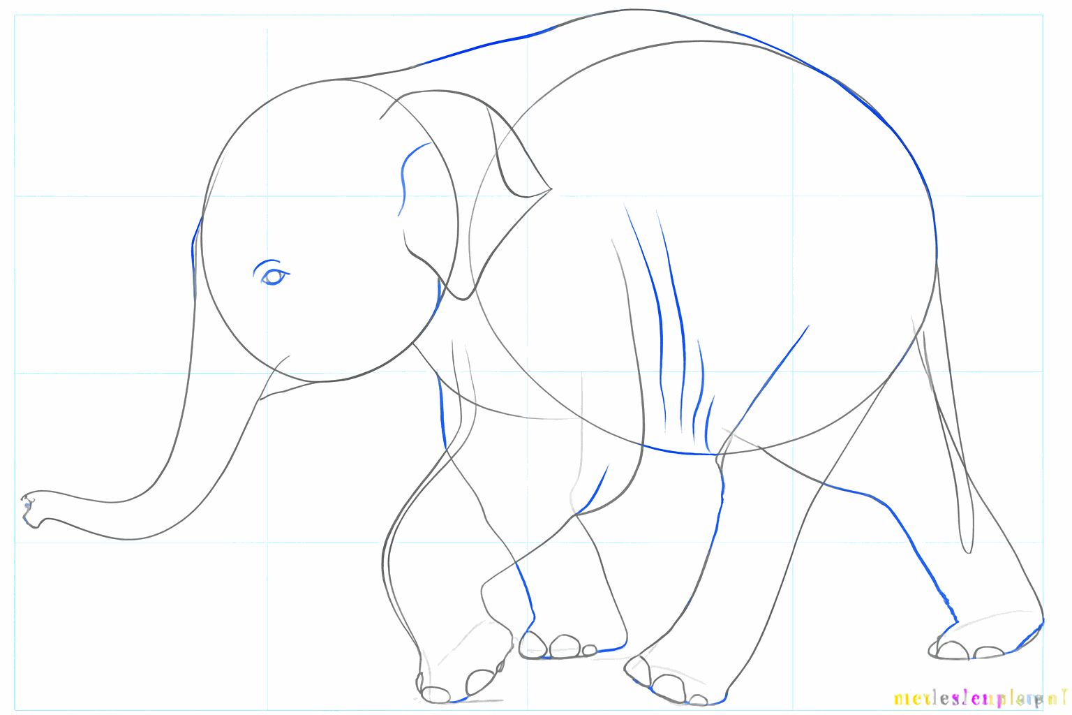 Adding details such as toenails and lines on the trunk.