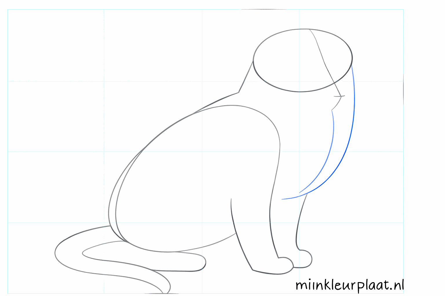 The outline of the dog's body with a long line for the tail.