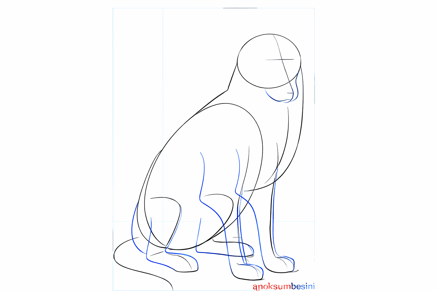 Sketch of the thicker legs and the snout of the dog.