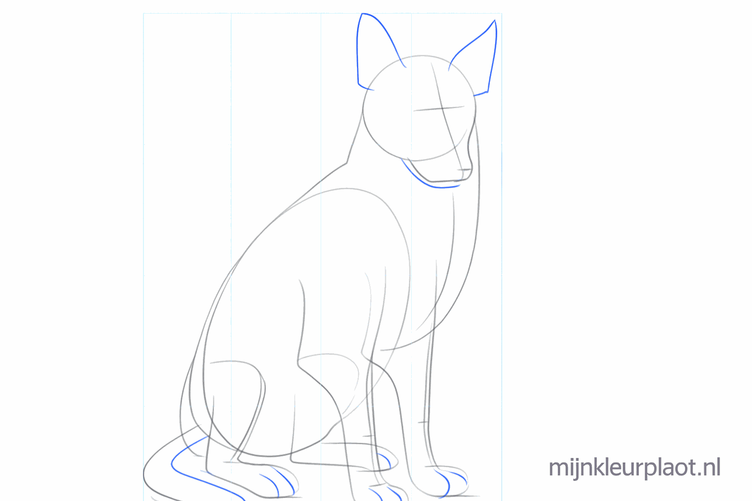 The ears and the thickness of the tail are added to the dog.