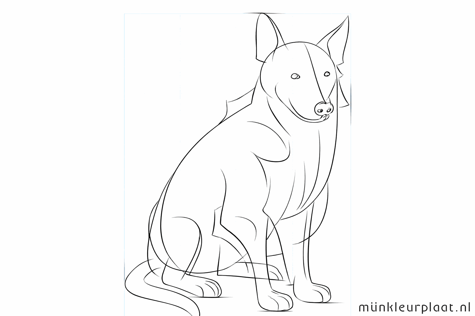 Face with eyes and nose and extra lines for the belly.