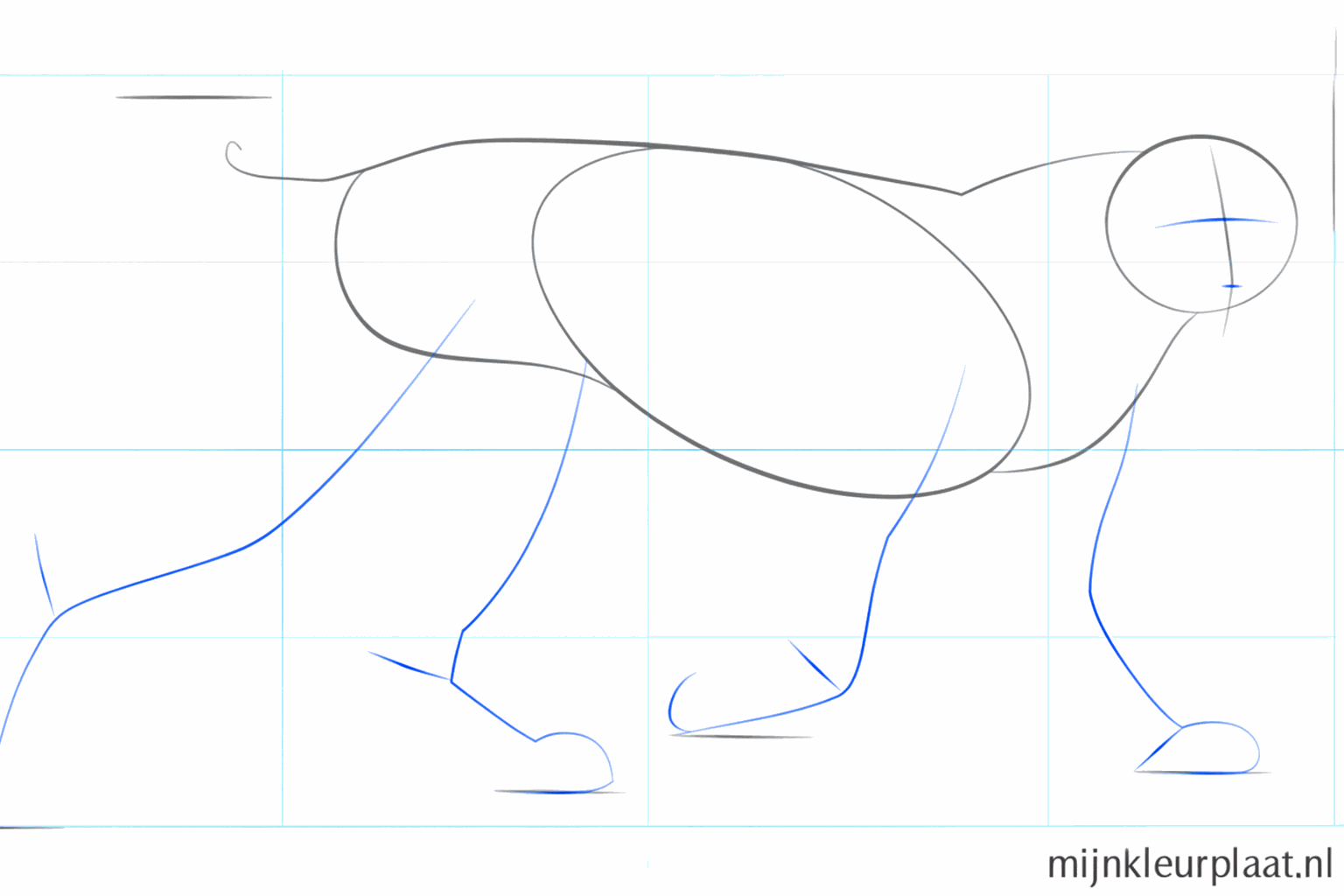 Guide lines on the face and straight lines for the position of the four legs.