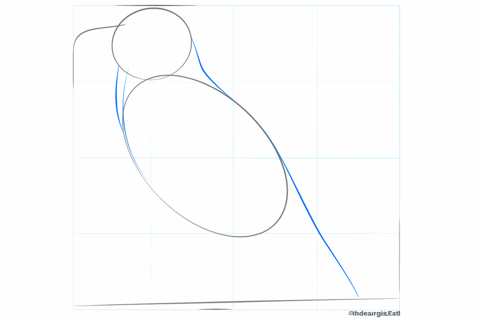 Guide lines for the neck and the long tail of the raven.