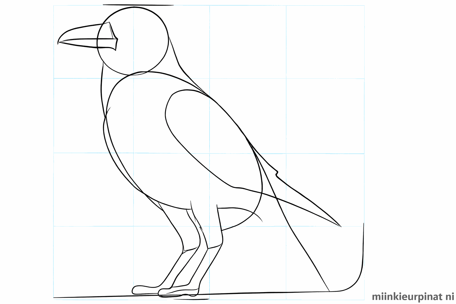 Shape of the wing and a thicker beak drawn with pencil.