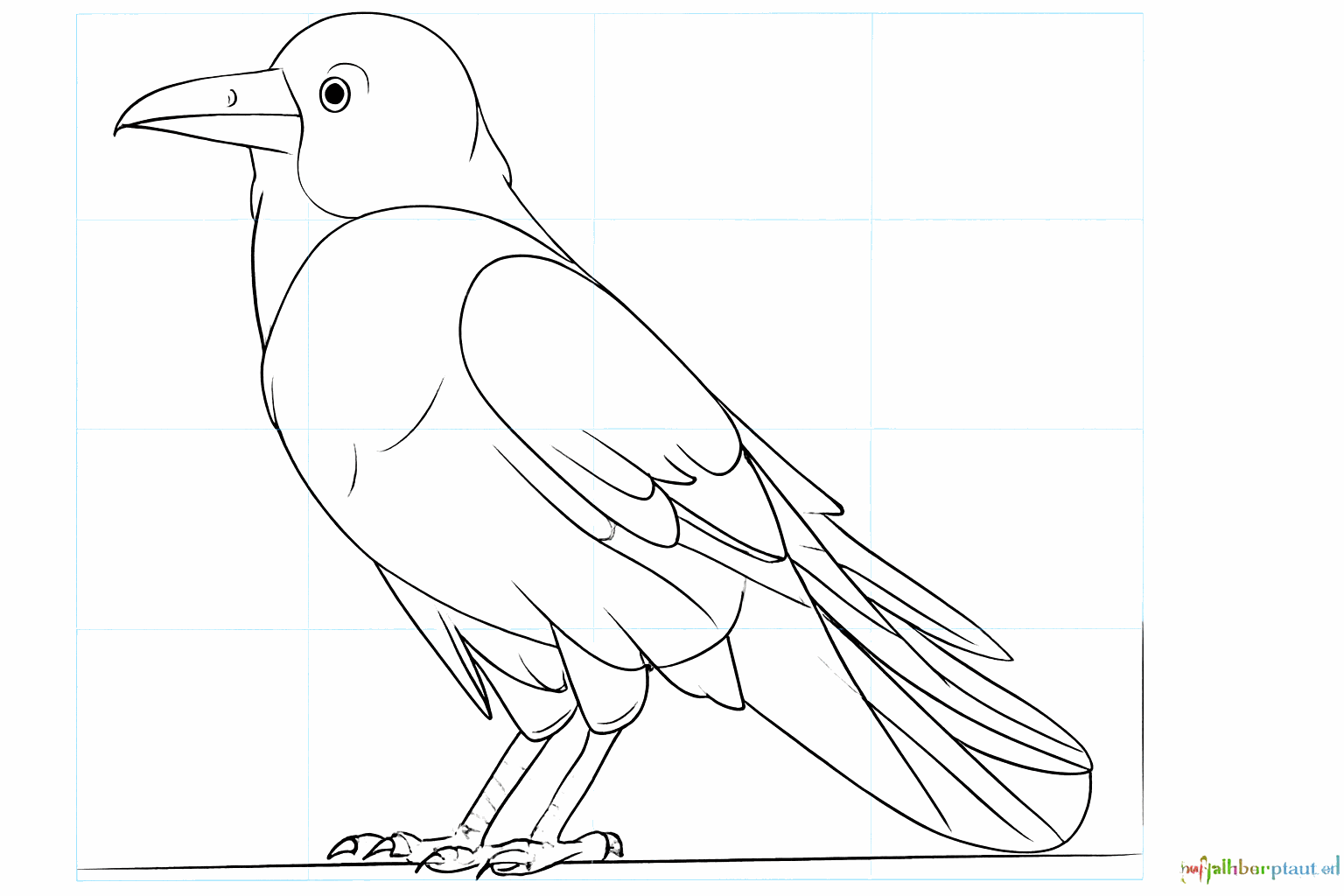 Lines indicating the feathers on the wing and the tail of the raven.