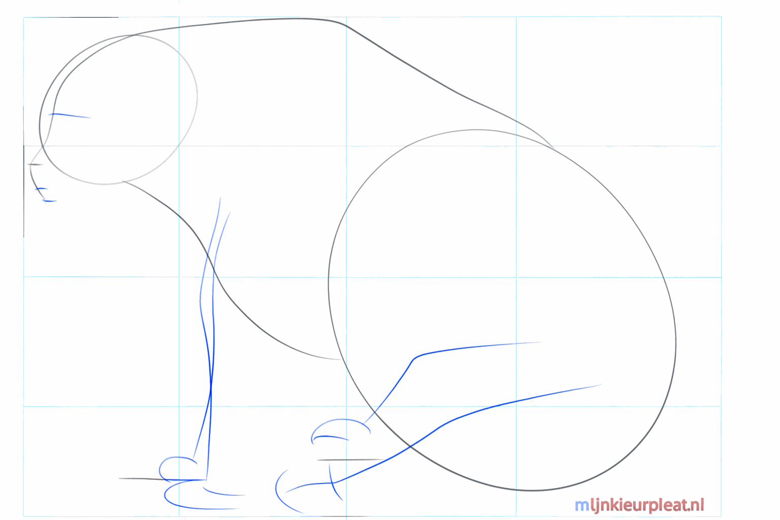 Guide lines for the legs and the snout of the bear.