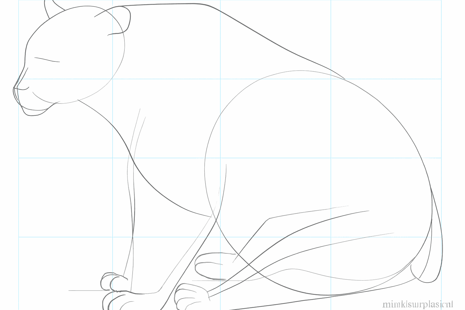 Add the ears and a tail to the bear.