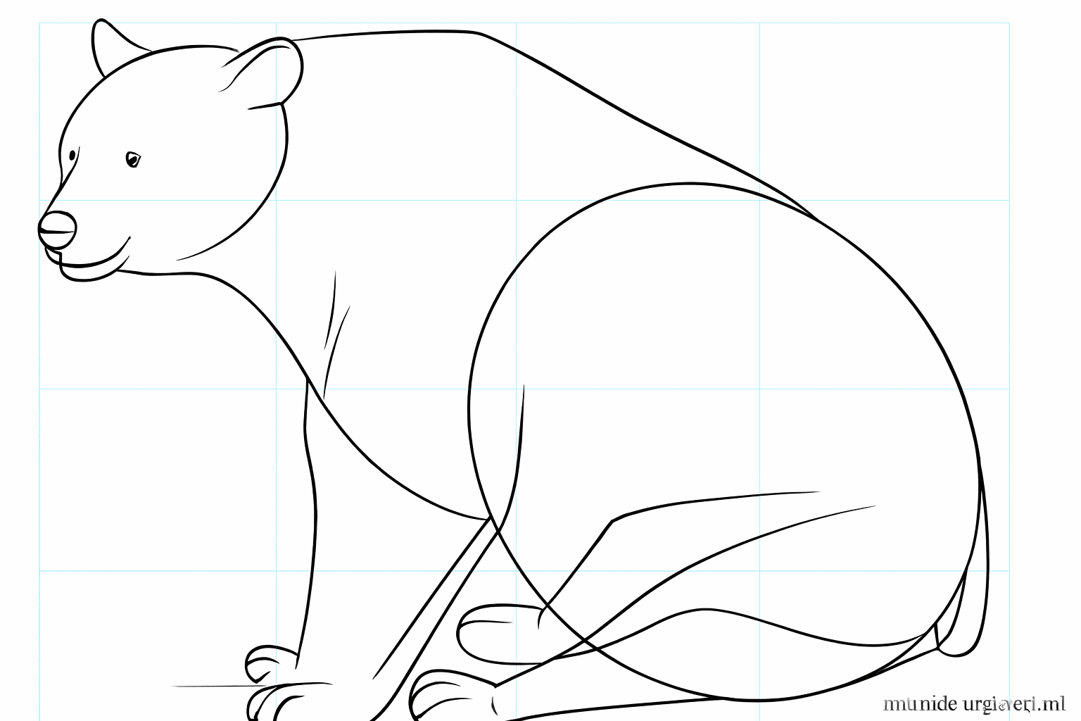 Draw the toes and the mouth of the black bear.