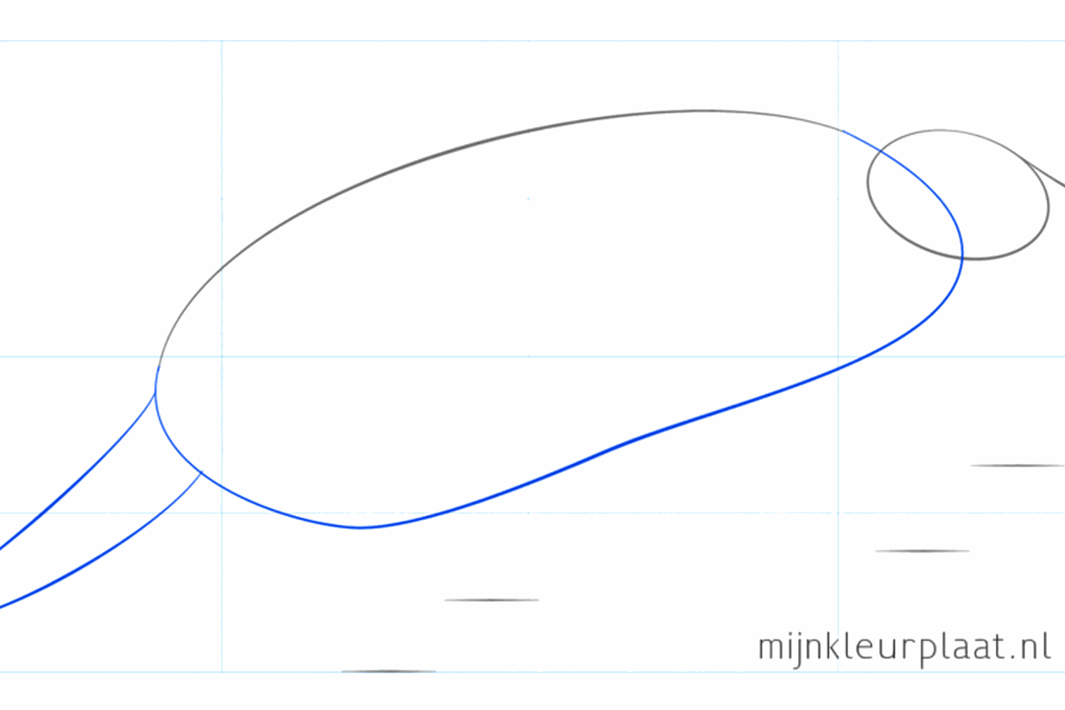 A rounded line on top of the oval indicating the shape of the shell.