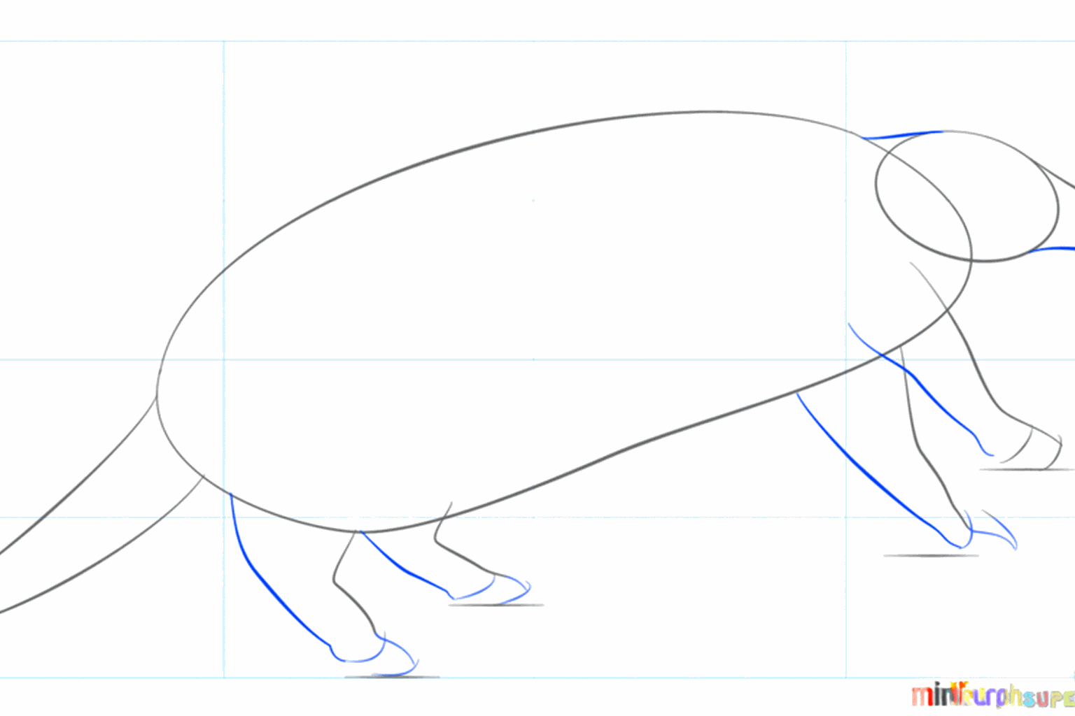Guide lines for the four legs under the body of the armadillo.