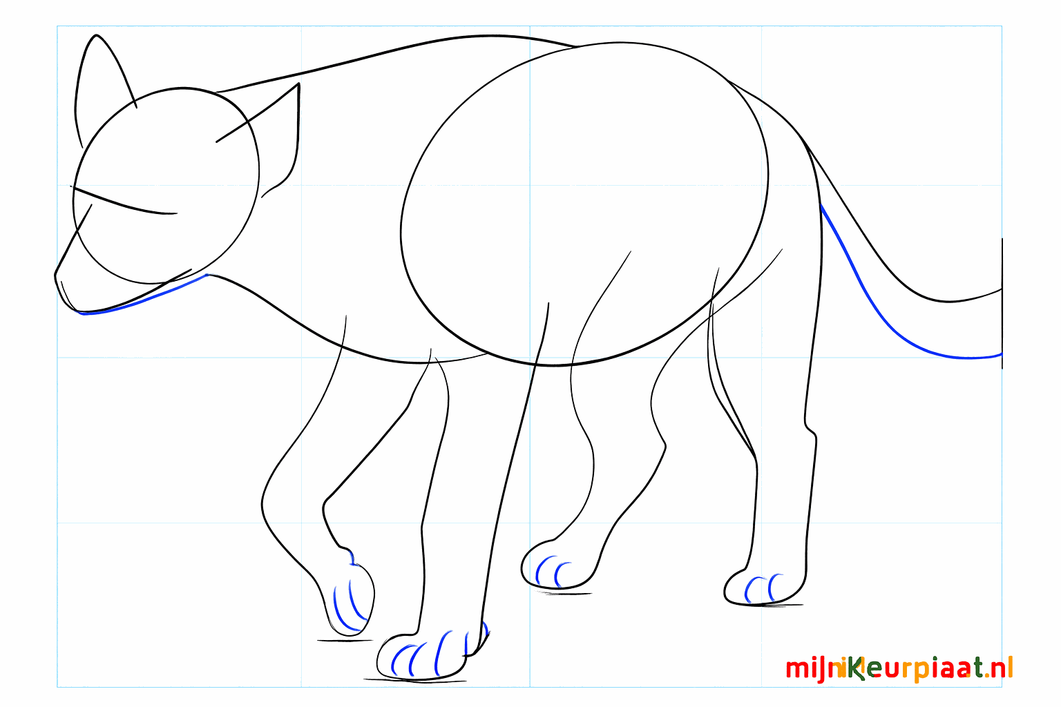 Large round ears on the head and a full tail shape.