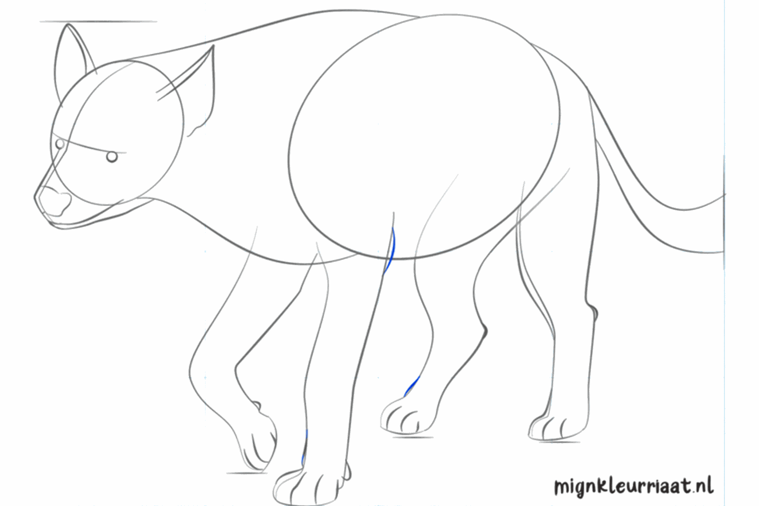 Details of the face such as the eye, nose, and mouth line.