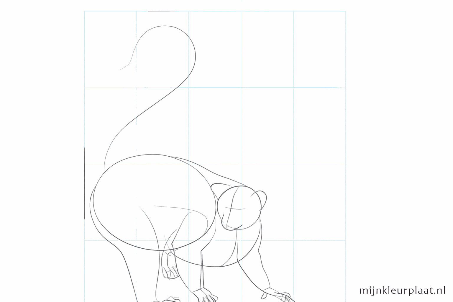 Drawing hands, feet, and a snout on the lemur.