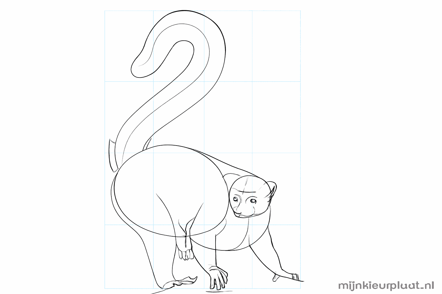 Drawing a thick, fluffy tail for the ring-tailed lemur.