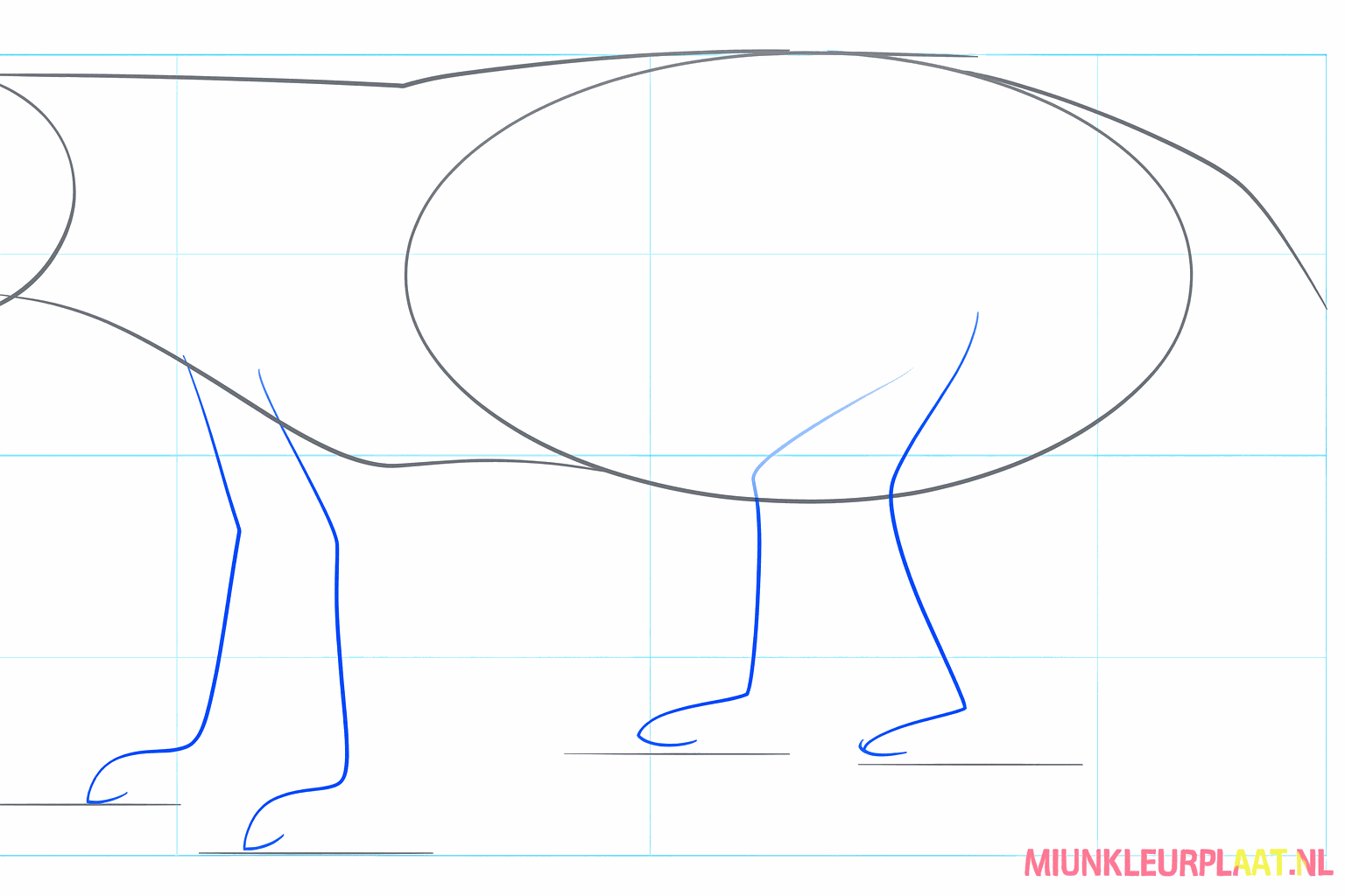 Guide lines for the face and legs of the honey badger.