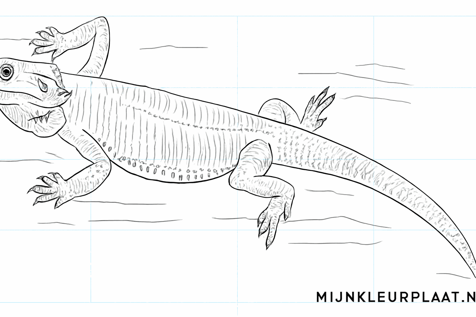 Drawing a cool bearded dragon: step-by-step for kids