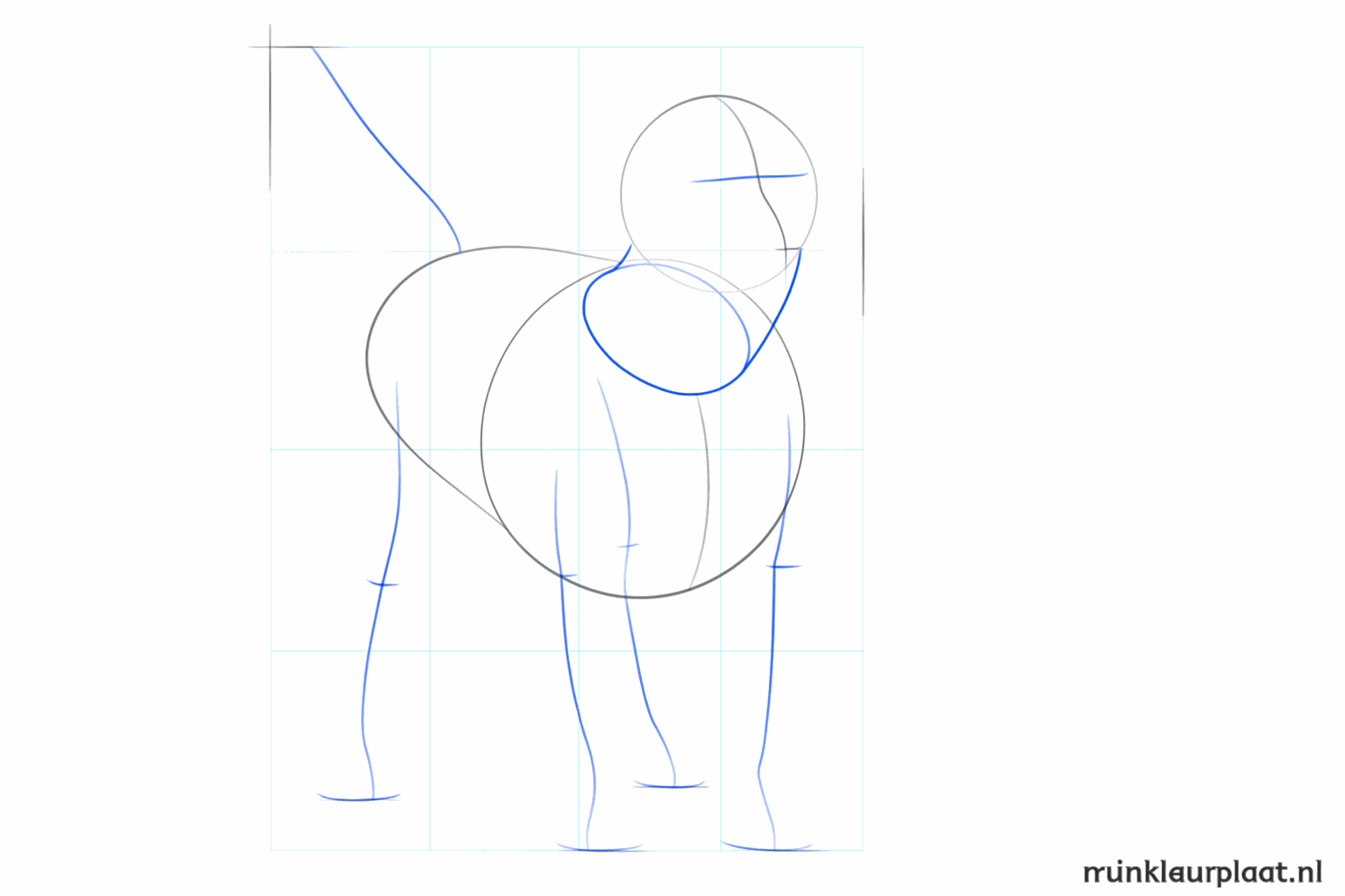 Construction lines for the neck, the legs, and the position of the eyes.