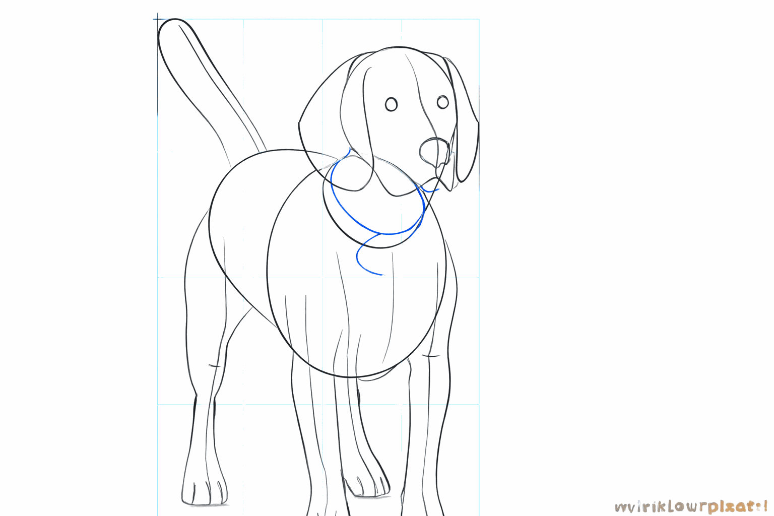 The contours of the dog's body are drawn more clearly.