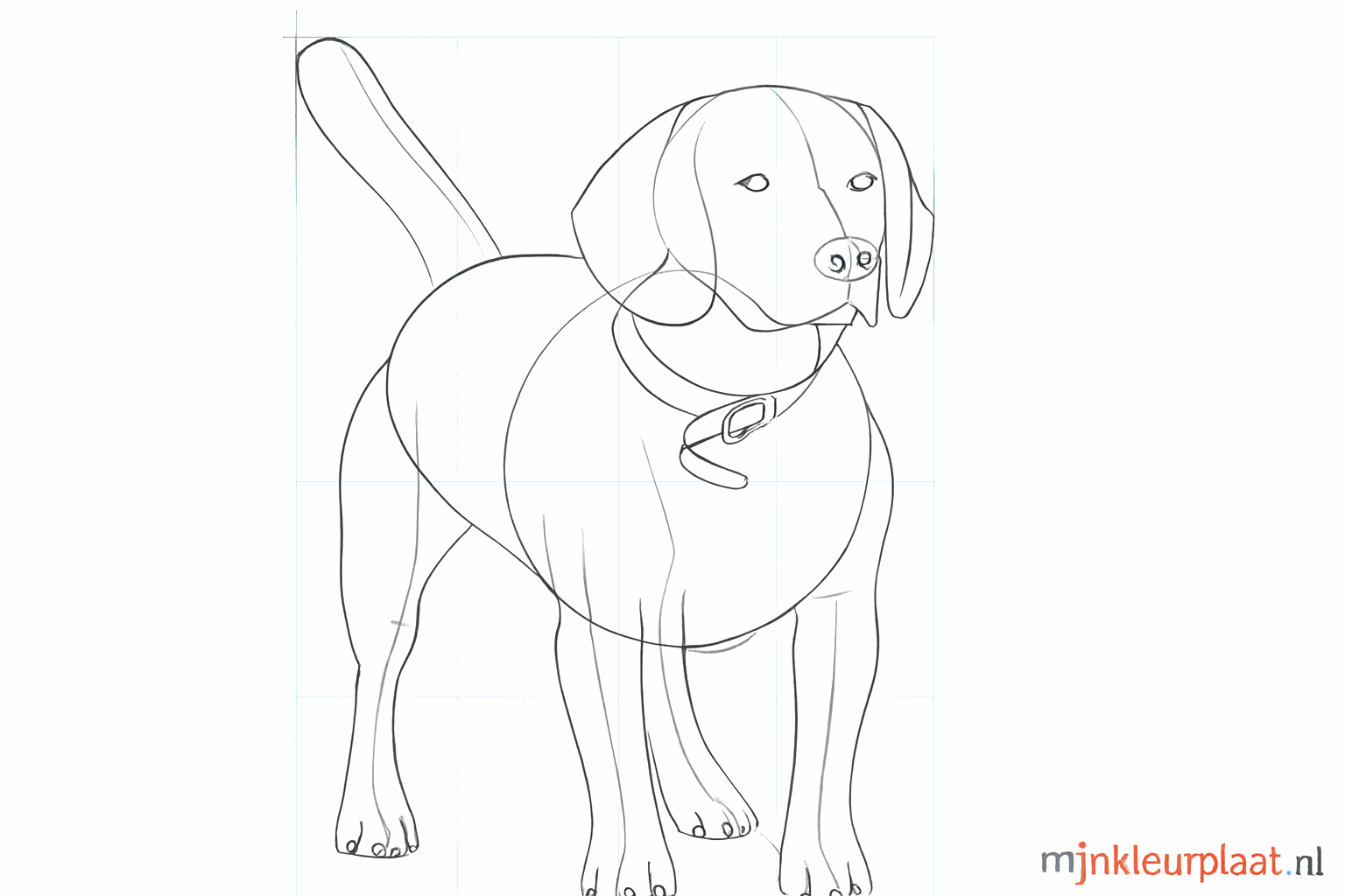 Details such as eyes, a nose, and a collar are added.