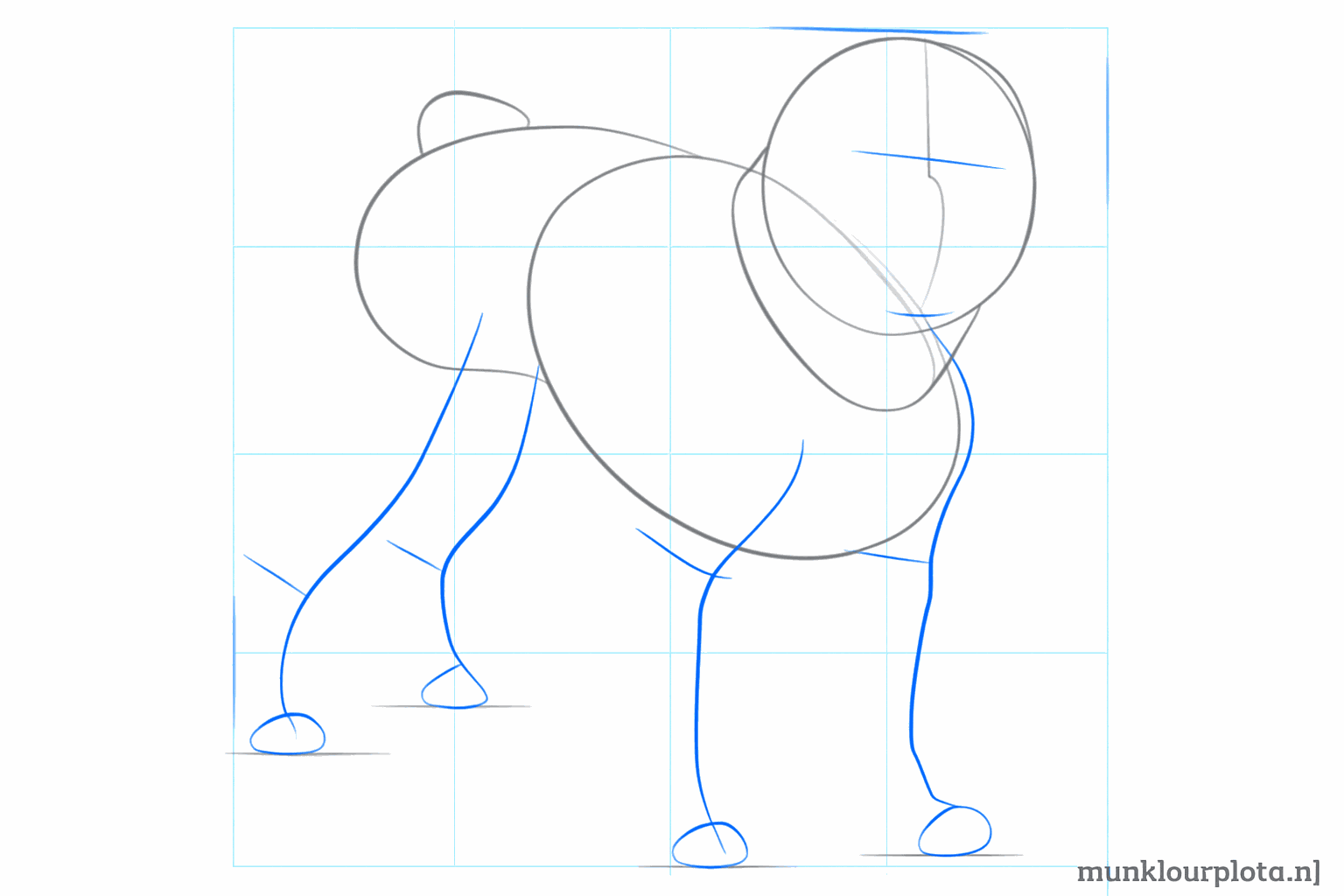 Guide lines in the face and four straight lines under the body for the paws.