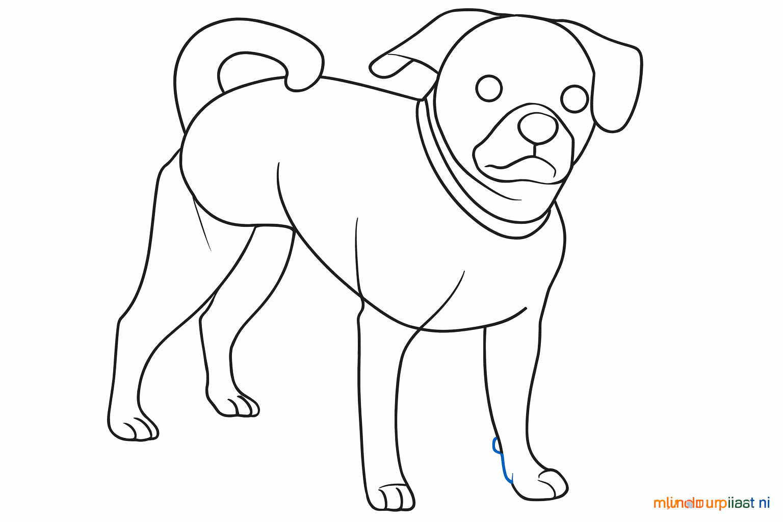 Details of the face such as eyes and nose, and small lines for the toes.