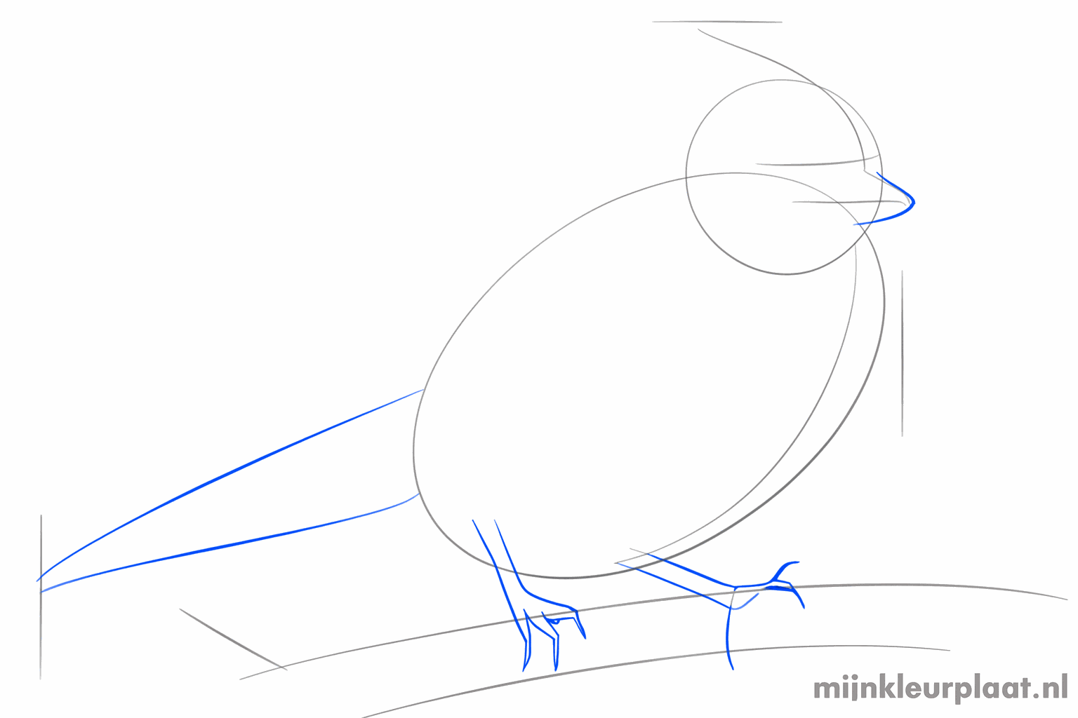 A bird with a small beak and a long shape for the tail at the back.