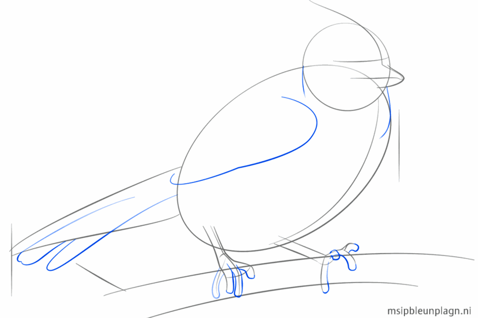 Detail of the bird's legs standing on the drawn branch.