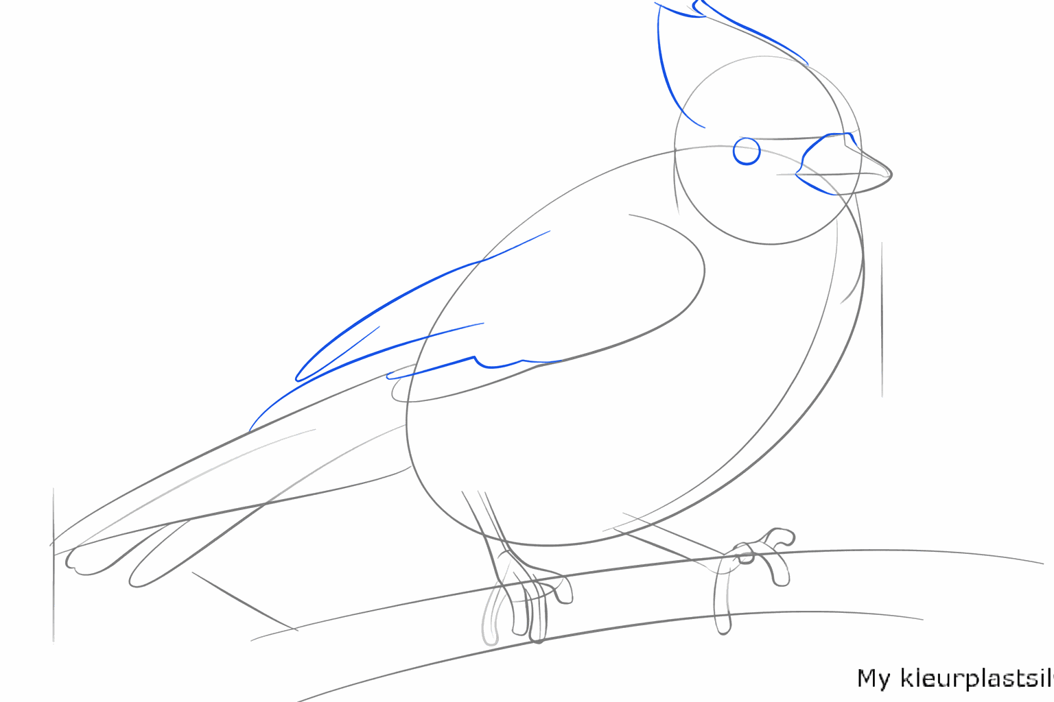 A curved line on the body forming the wing of the blue jay.