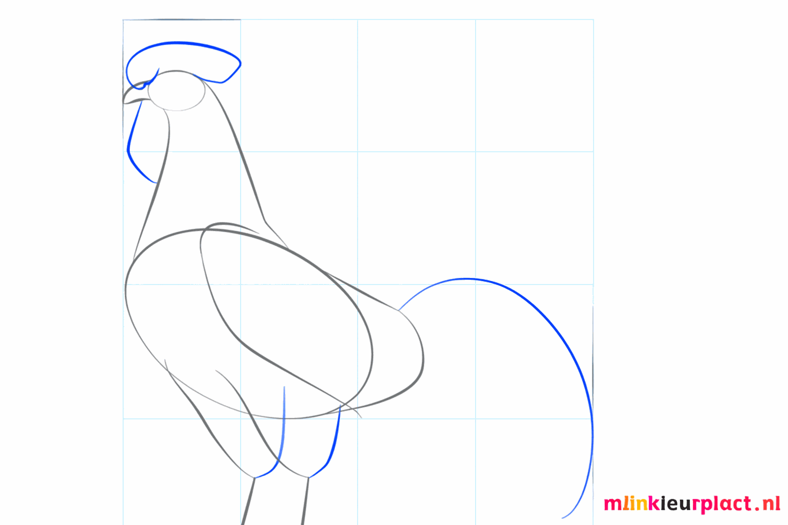 Sketch of the comb on the head and the first line of the tail.