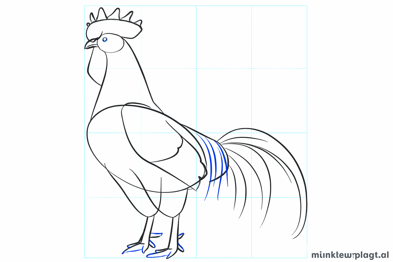 Thicker legs and long feathers in the tail of the rooster.