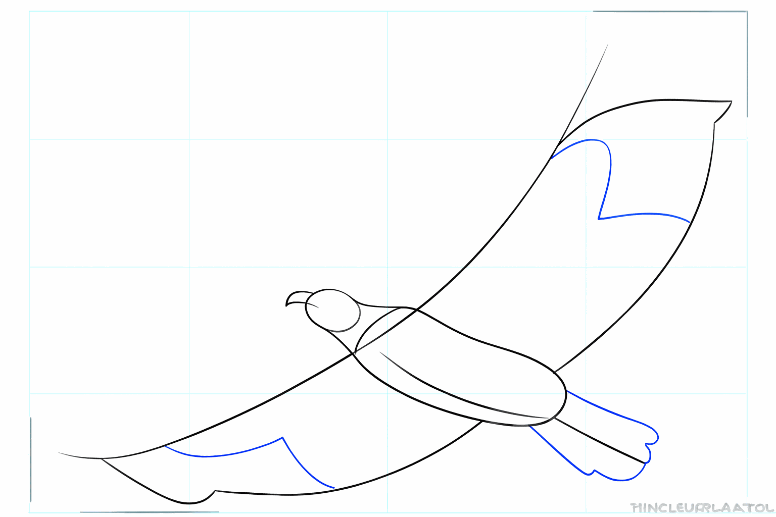 The outlines of the large wings and the tail of the bird.