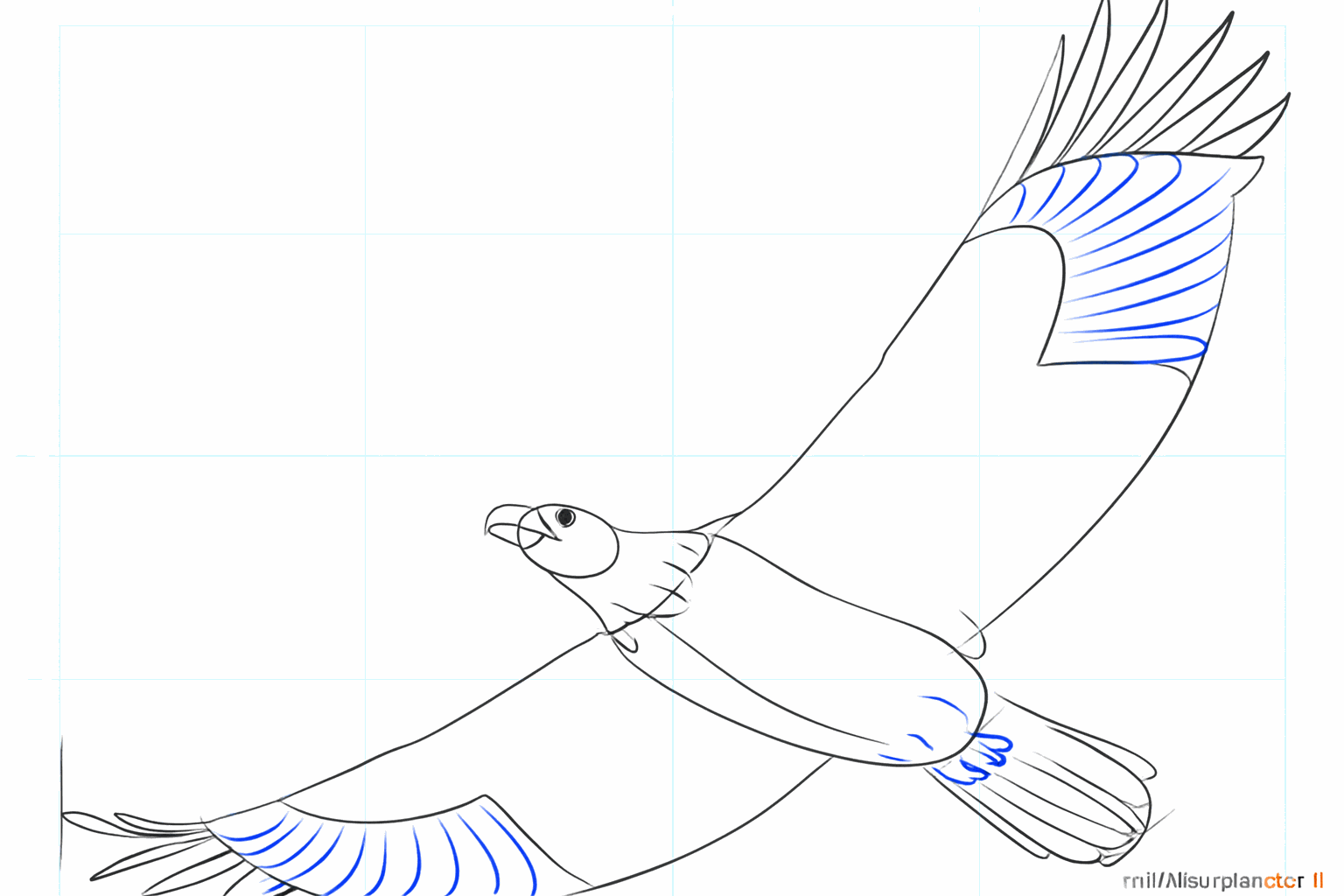 Detailed beak and wavy feathers on the wings.