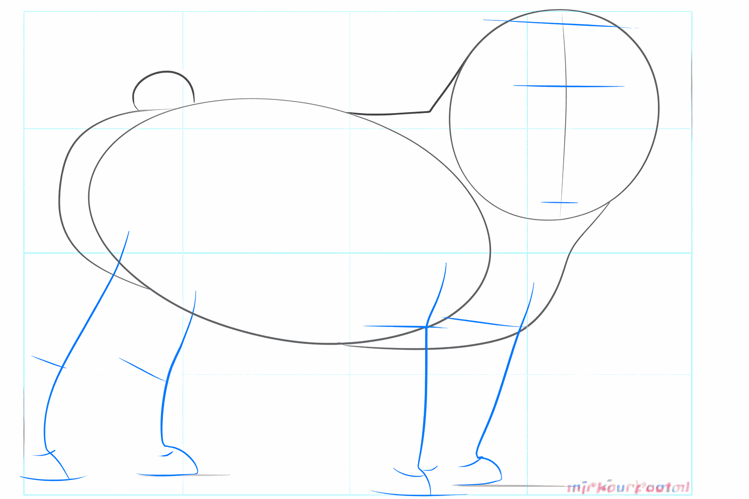 Pug drawing lesson step 3: Guide lines for the face and legs.