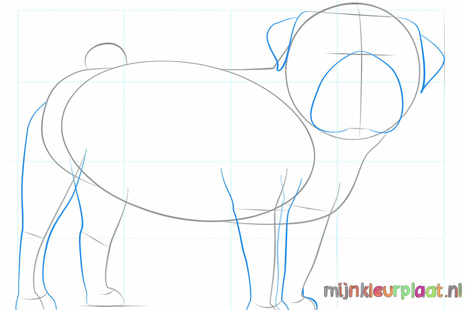 Drawing a pug step 4: Drawing the legs and ears.