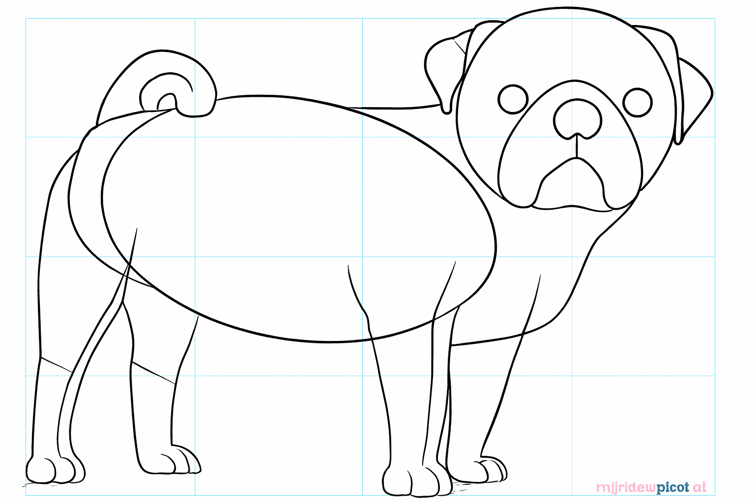 Pug drawing lesson step 5: Details of the feet and nose.
