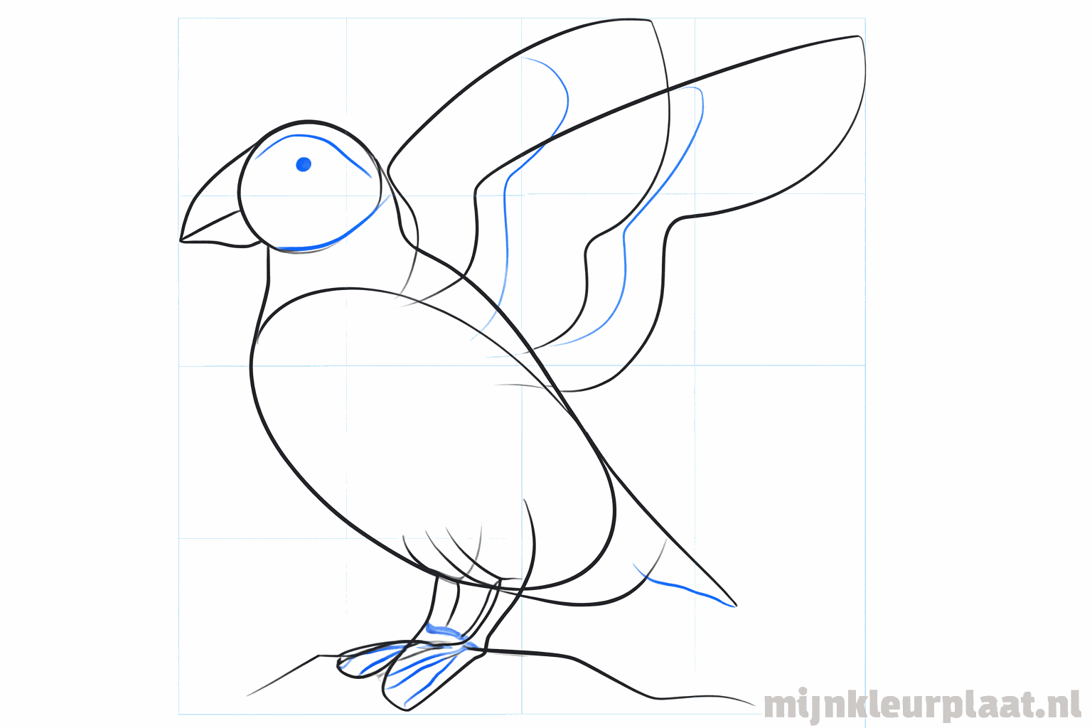 Details of the wing and a wider tail are added.