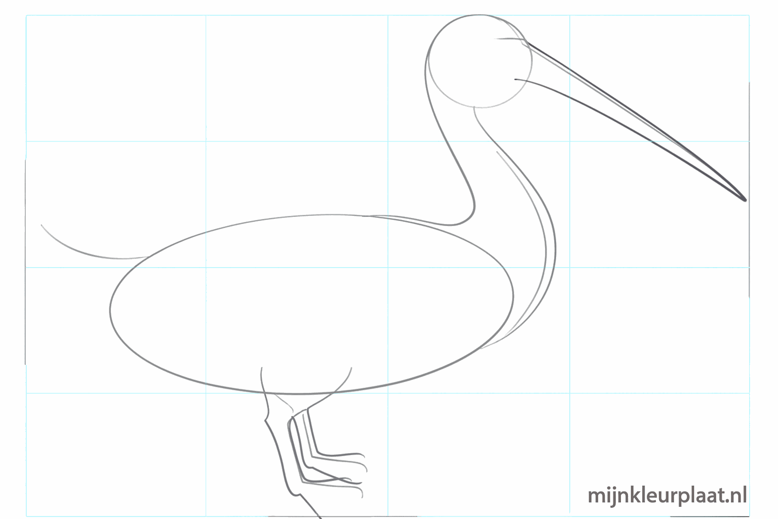Guide lines for the eye and the thin legs under the body.