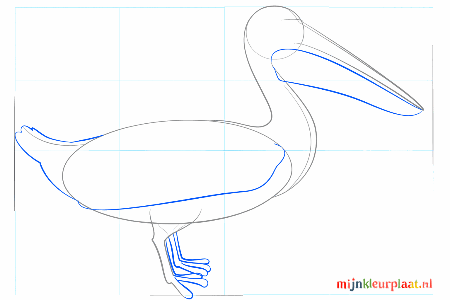 The legs take shape and the top of the beak is drawn.