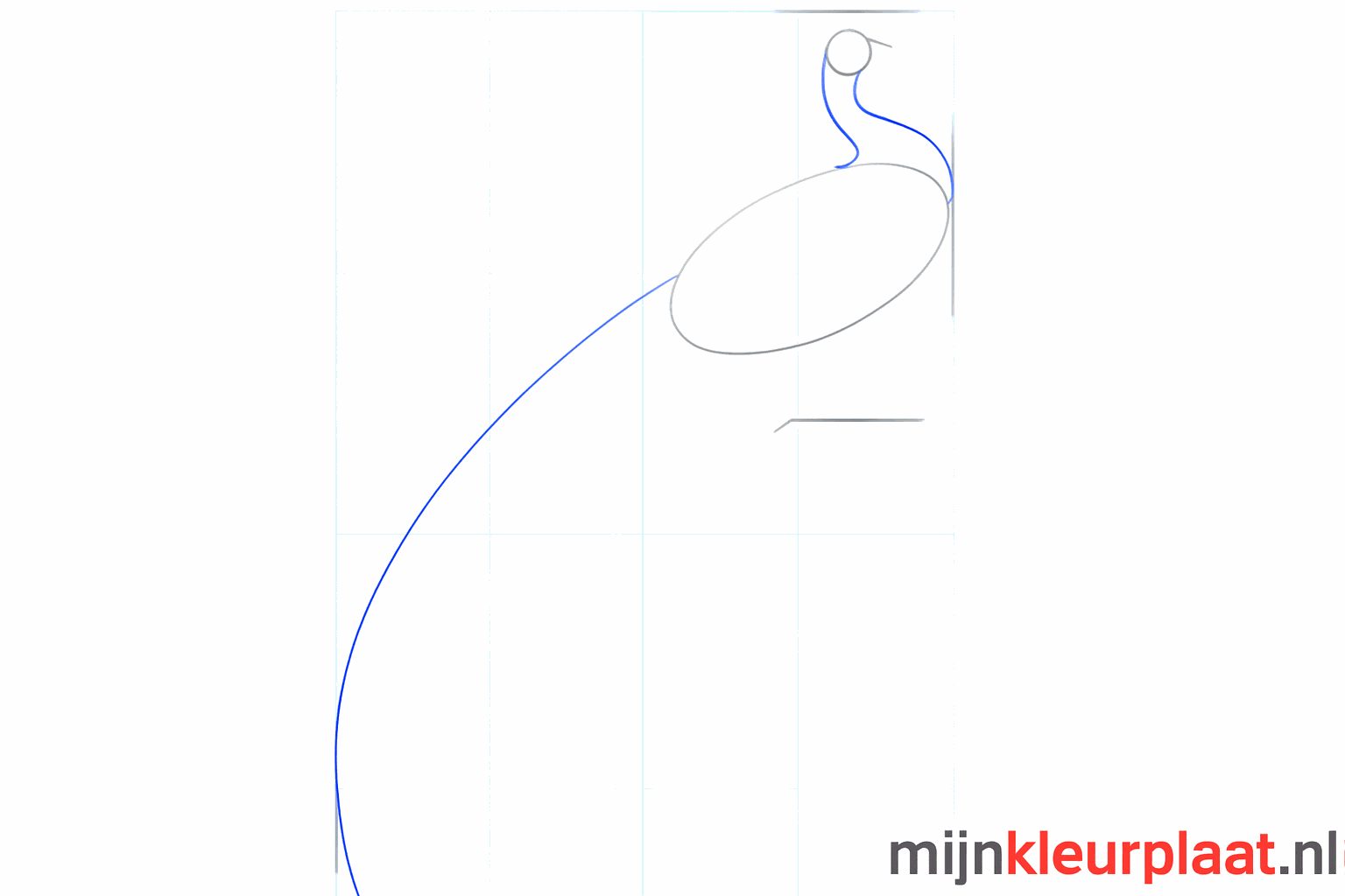 Drawing the peacock's neck by connecting the head and the body.