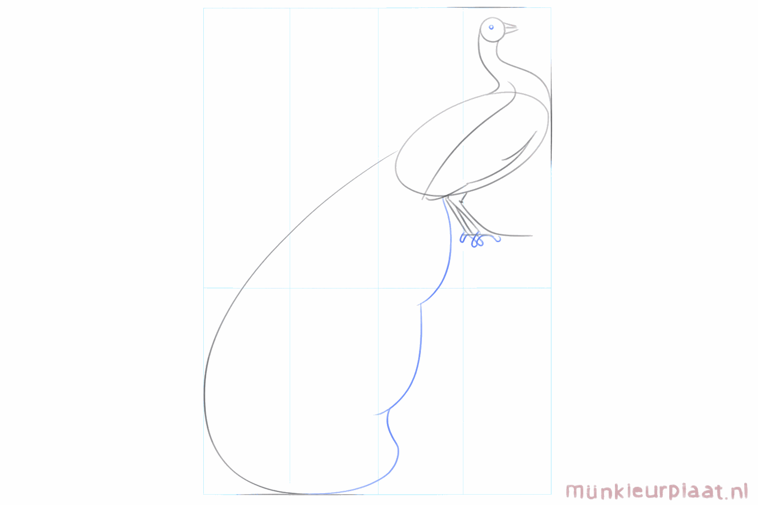 Drawing the wing and the thickness of the legs.